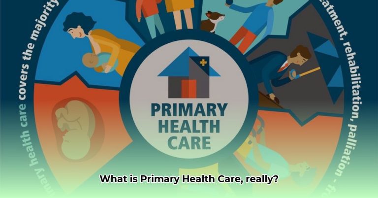 Primary Def Definition of Primary Health Care: A Comprehensive Overview - Chaztin