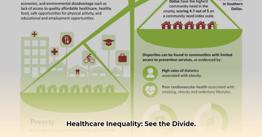 Visualizing Health Disparities Infographics On Healthcare Inequality visualizing-health-disparities-infographics-on-healthcare-inequality