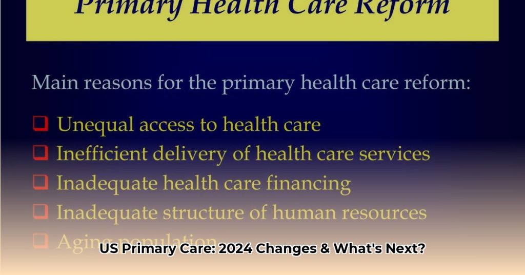 Primary Health Care Reform in the US: 2024 Updates and Future ...
