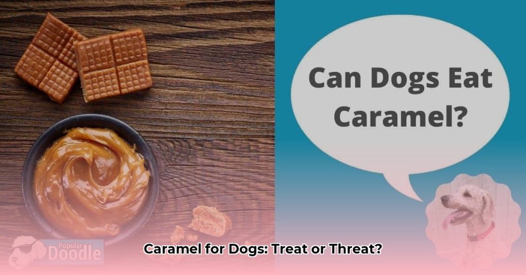 Photo inspiration: Can Dogs Eat Caramel The Dangers Symptoms And Safe Treats Photo Inspiration