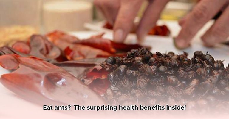 Is It Okay To Eat Ants